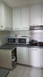 Bishan Loft (D20), Condominium #118159502